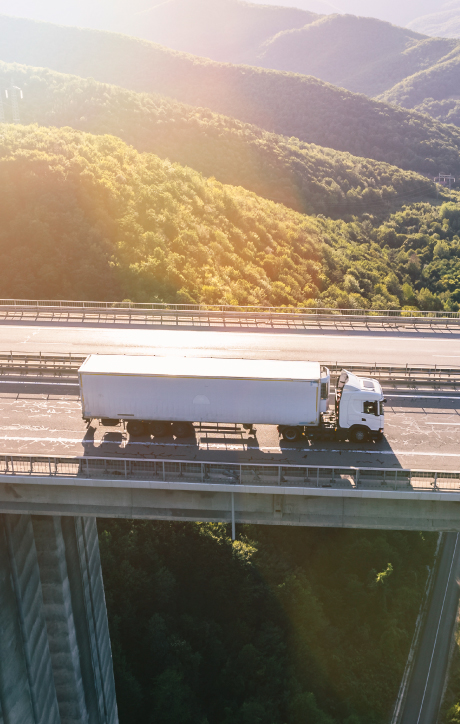 WE MANAGE FREIGHT, IMPORT, EXPORT